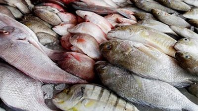 حملة أمنية على المحال لضبط الأسماك الفاسدة قبل بيعها للمواطنين بالإسكندرية