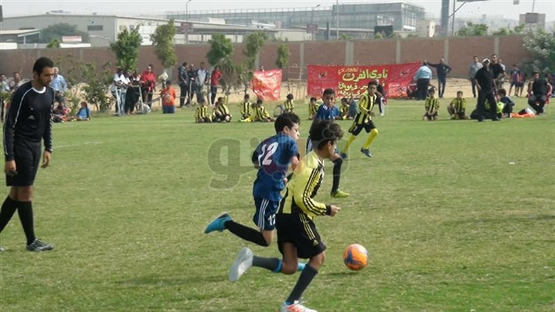 فيتو