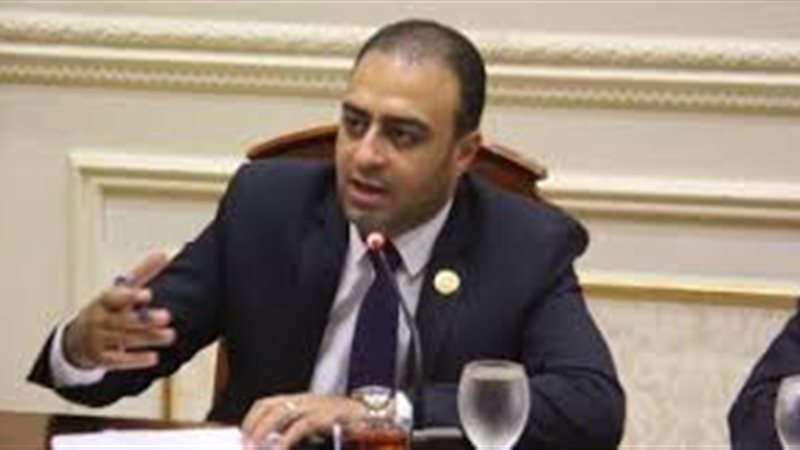  النائب الوفدي، محمد