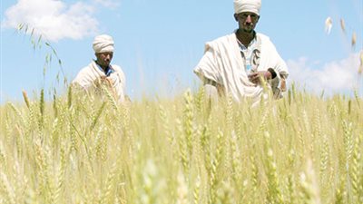 إثيوبيا تدعو رجال الأعمال الأتراك إلى الاستثمار فى أديس أبابا