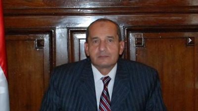 وفد «الفاو» يصل مصر لبحث تنفيذ مشروع الـ1.5 مليون فدان