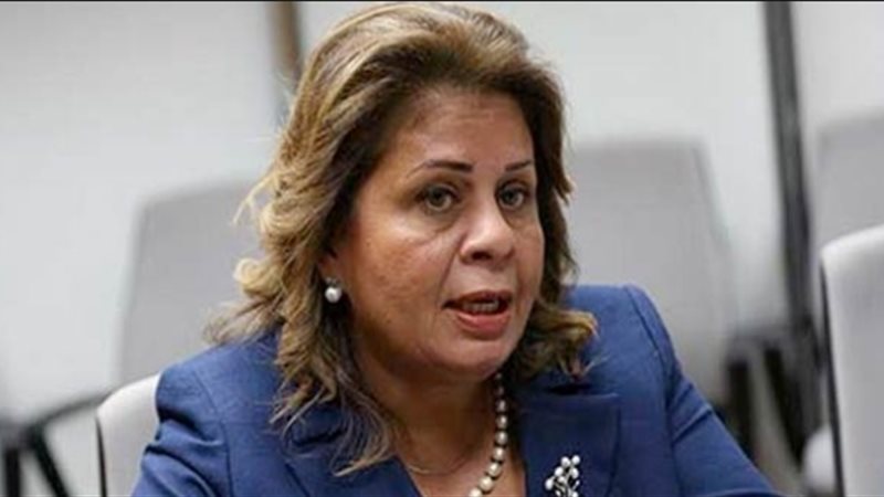 منى منير، عضو مجلس