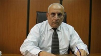 زكي بسيوني: نرسل ملف المرشح لرئاسة «القابضة المعدنية» لوزير الاستثمار