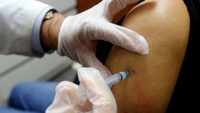 سعيد شلبي: السعار فيروس ينتقل للإنسان عن طريق «العض»