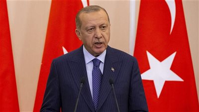أردوغان يتطاول على مصر والسعودية بعد التنديد بعدوانه على سوريا