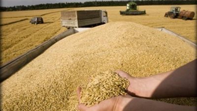 110 آلاف طن قمح بصوامع دمياط