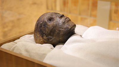 مصير مومياء توت عنخ آمون بين يدي علماء الآثار بمؤتمر الفرعون الذهبي