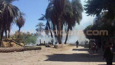 بالصور.. نشوب حريق في نخيل جنوب الأقصر
