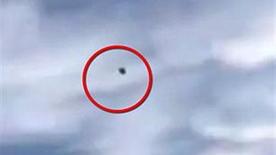 طائر ينتقم من صياده بشكل غير متوقع (فيديو وصور)