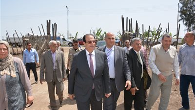 محافظ الدقهلية: لن نسمح بالتلاعب بحقوق مزارعي القمح