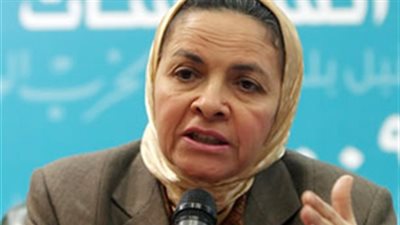 الحماقي: قضايا التحكيم الدولي انعكاس لضعف الأداء الحكومي