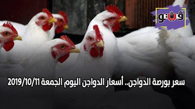 سعر بورصة الدواجن.. اسعار الدواجن اليوم الجمعة 2019/10/11