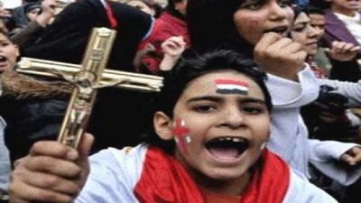 ميشيل عياد: التهديد باللجوء إلى المحافل الدولية حق قانونى