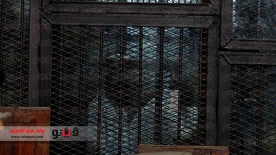 نشرة الحوادث.. إحالة 20 من 