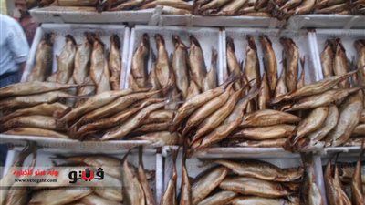 بالصور.. غضب في الإسكندرية بسبب ارتفاع أسعار الأسماك