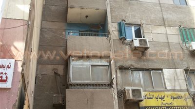 بالصور.. منزل آيل للسقوط بدار السلام