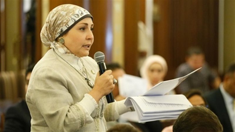 النائبة هالة أبو