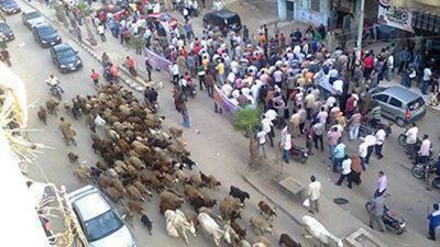 بالصور.. «الخرفان» و«الإخوان» إيد واحدة!