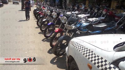 بالفيديو والصور.. 