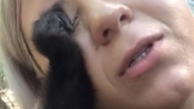 قرد يضع امرأة في موقف محرج (فيديو وصور)