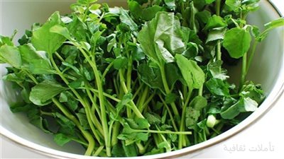 10 فوائد مذهلة للجرجير