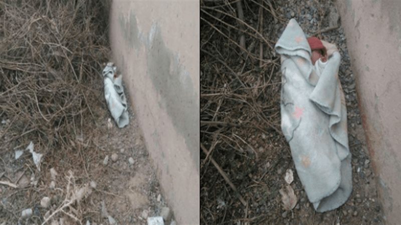 صورة ارشيفية