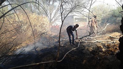 اندلاع حريقين في حظائر ماشية ومزارع نخيل بالوادى الجديد