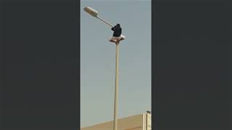 فيتو