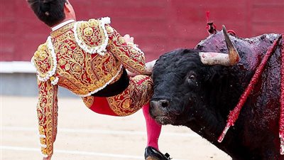 إصابة خطيرة لمصارع ثيران حبيب ابنة شقيقة ملك إسبانيا (صور)