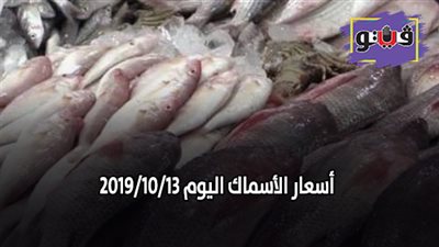 اسعار الأسماك اليوم 2019/10/13.. وكيلو البلطي بـ25 جنيها