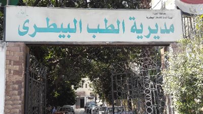 ضبط 5.5 أطنان دواجن وأسماك غير صالحة للاستخدام الآدمي بالجيزة