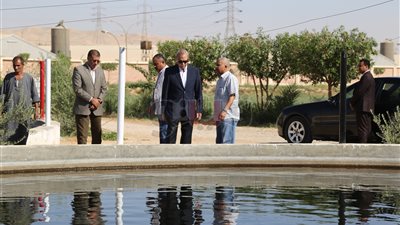 محافظ قنا يتفقد مشروع النخيل المجدولي ومزرعة الأسماك (صور)