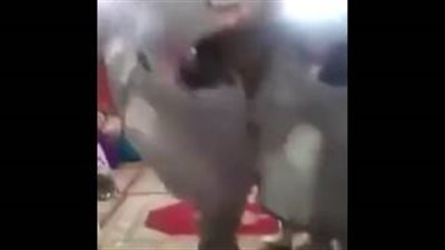بالفيديو.. سقوط مروع لعروس مغربية في حفل زفافها