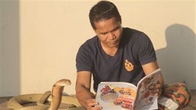 بالفيديو.. مروّض ثعابين يحتفظ بكوبرا في منزله رغم لدغه 8 مرات
