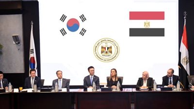 خبير يطالب بالاستفادة من خبرات الشركات الكورية في مصر