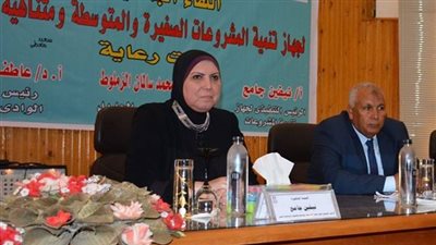 اليوم.. توقيع بروتوكول بين تنمية المشروعات و«التعبئة والإحصاء»