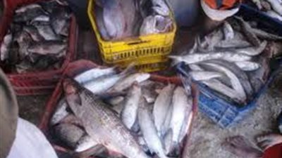 الأحد المقبل.. افتتاح موسم الصيد ببحيرات وادي الريان