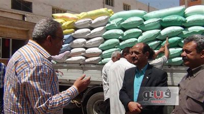 بالصور.. بدء عملية توريد القمح داخل 34 شونة وصومعة في الدقهلية