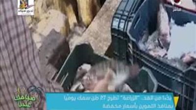 بالفيديو.. الزراعة تطرح أسماكا بأسعار مخفضة في منافذها