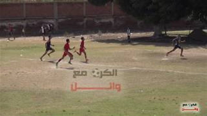 فيتو