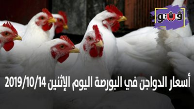 اسعار الدواجن في البورصة اليوم الإثنين 2019/10/14
