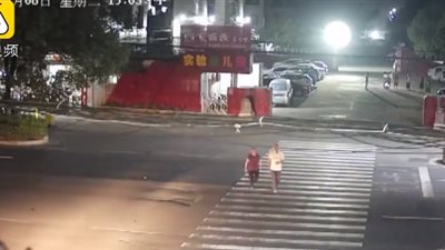 لقطات مروعة للحظة دهس زوجين مسنين أثناء عبورهما الطريق (فيديو)