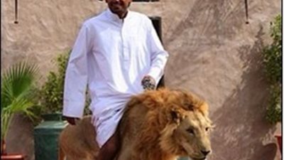 صور غريبة لن ترها إلا في «دبي»