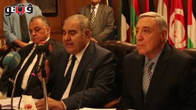 رئيس المحكمة الدستورية: القضاء الدستوري ملاذ المظلومين