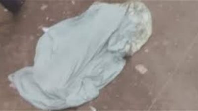 ضبط المتهم الثاني في واقعة مقتل طالب ببورسعيد