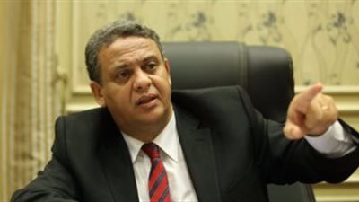 نائب: تنسيق كامل بين البرلمان و«الخارجية» حول زيارة الكونجرس