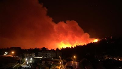 نيشان يناشد حكومة بلاده: لبنان يشتعل.. استيقظي (فيديو)