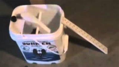 بالفيديو.. طريقة سهلة تخلصك من الفئران نهائيا