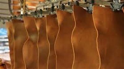 5 مجالات للتعاون بين غرفة صناعة الجلود ومصلحة الكيمياء لتنمية القطاع