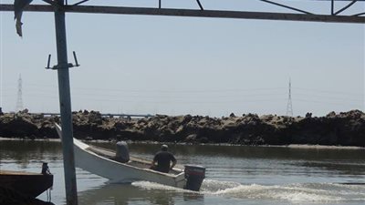 ضبط 9 صيادين بدون ترخيص في حملة أمنية على بحيرة المنزلة